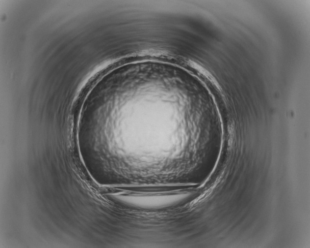 X0000085051021200703191253