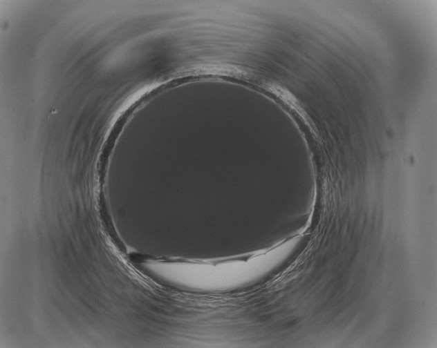 X0000085051024200703191253