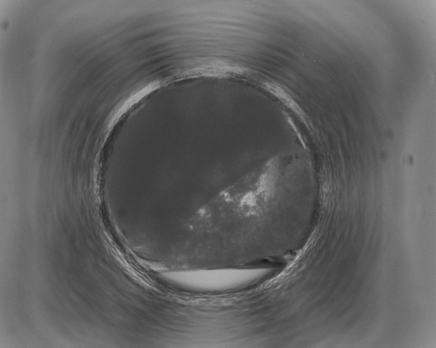 X0000085051026200703191253