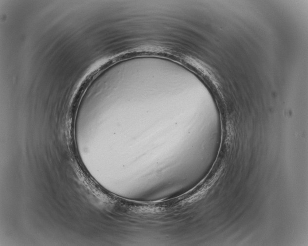 X0000085051029200703191253