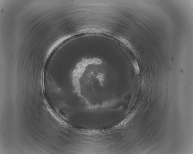 X0000085051030200703191253