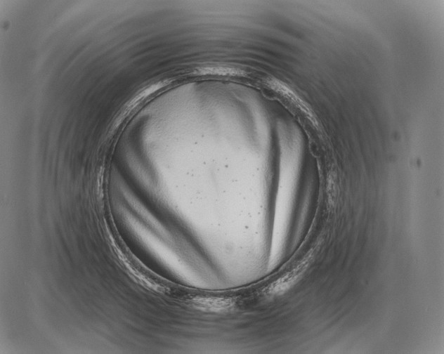 X0000085051033200703191253