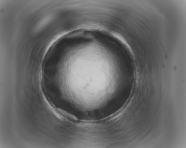 X0000085051040200703191254
