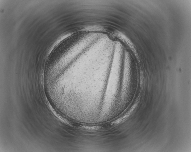 X0000085051041200703191254