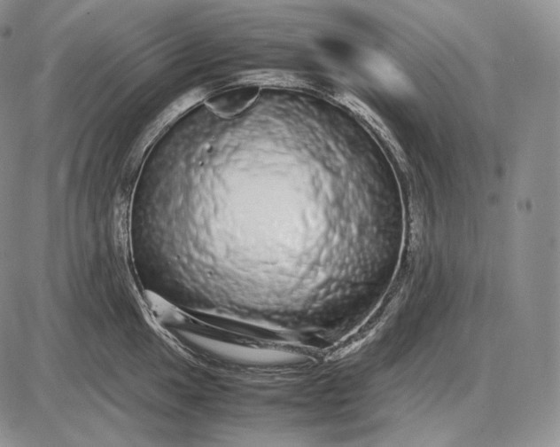 X0000085051049200703191254