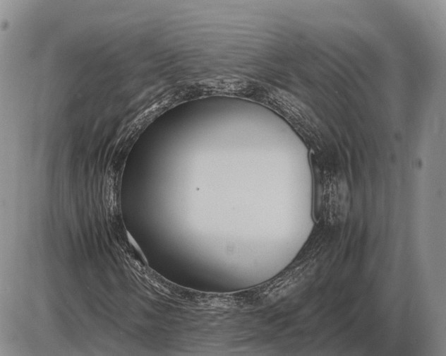 X0000085051058200703191253