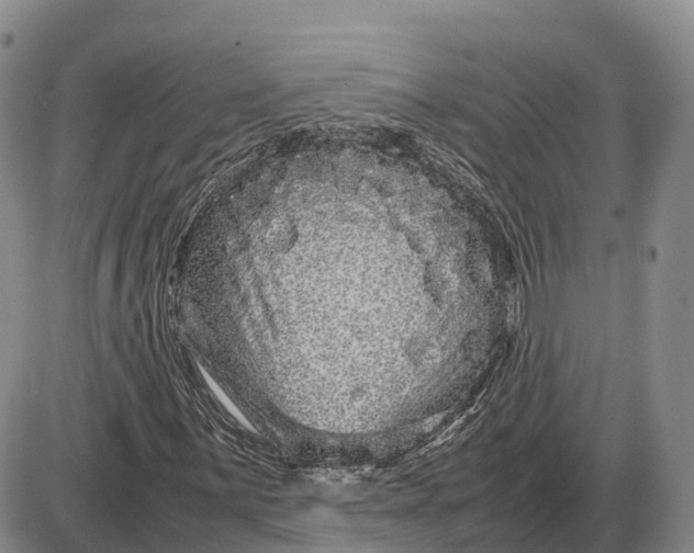 X0000085051059200703191253