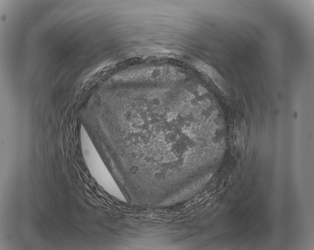 X0000085051063200703191253