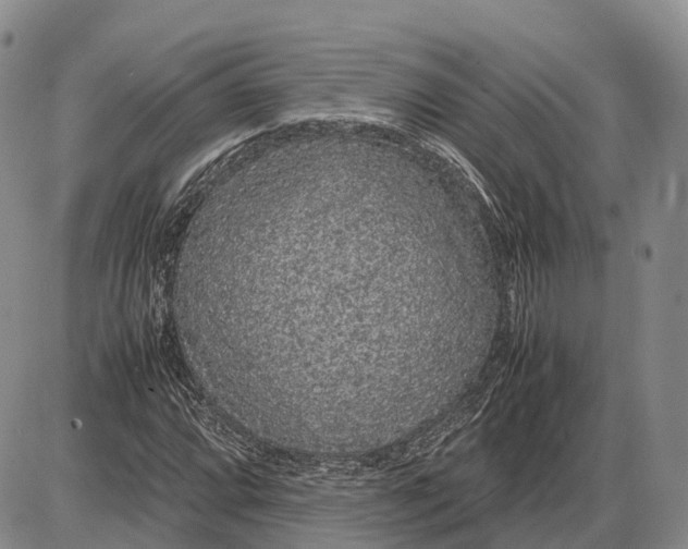 X0000085051064200703191253