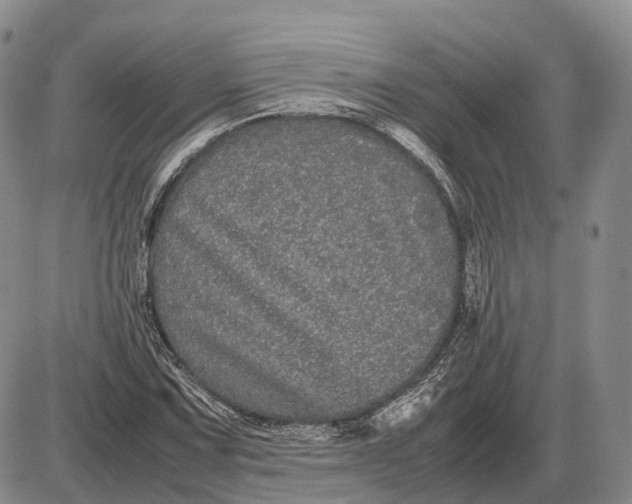 X0000085051067200703191253