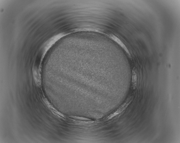 X0000085051068200703191253