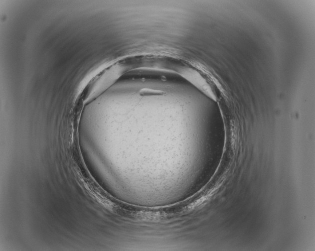 X0000085051069200703191253