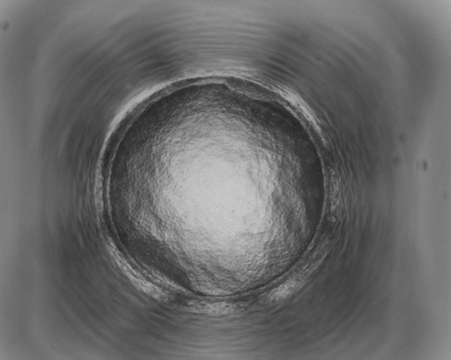 X0000085051072200703191253