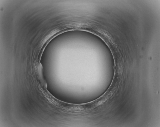 X0000085051073200703191253