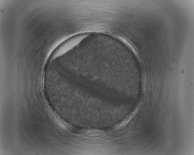 X0000085051077200703191253
