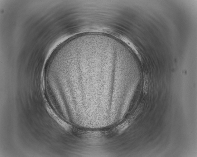 X0000085051080200703191253