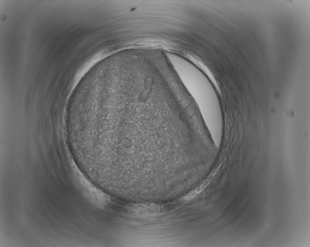 X0000085051091200703191252