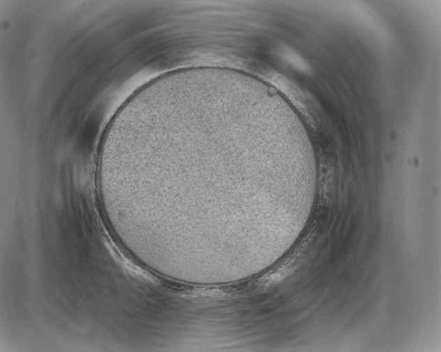 X0000085051094200703191252