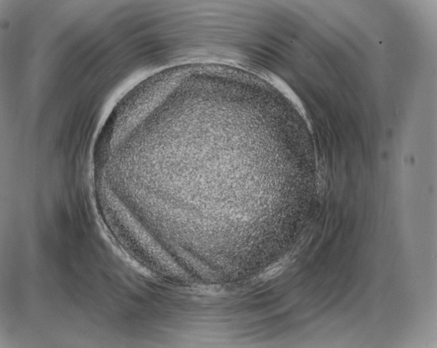 X0000085051096200703191252