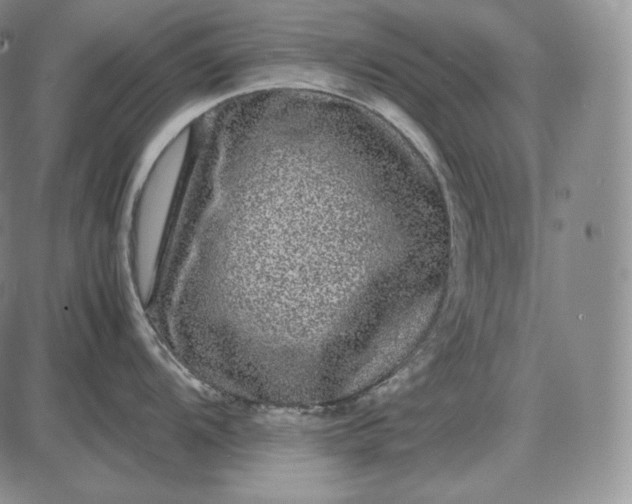 X0000085051104200703191252