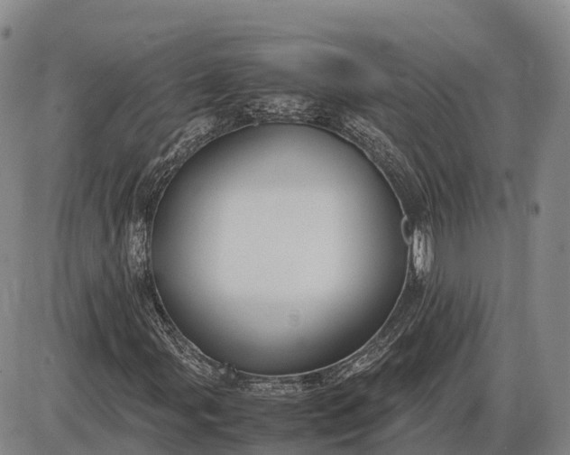 X0000085051107200703191251