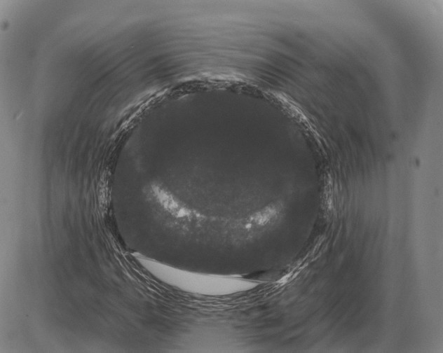 X0000085051110200703191252