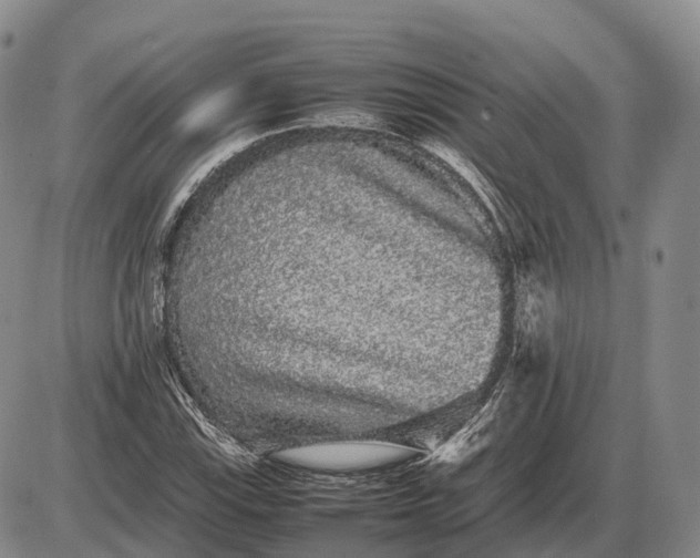 X0000085051115200703191252