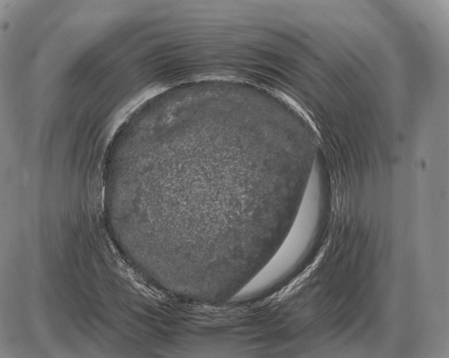 X0000085051117200703191252