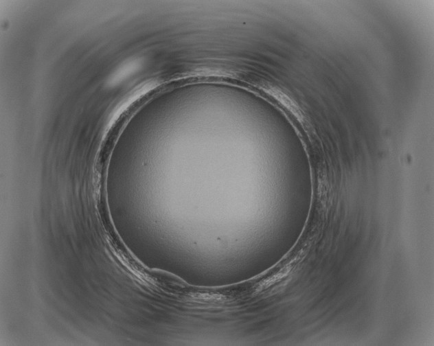 X0000085051119200703191252