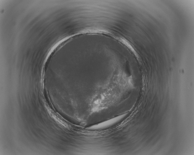 X0000085051124200703191252