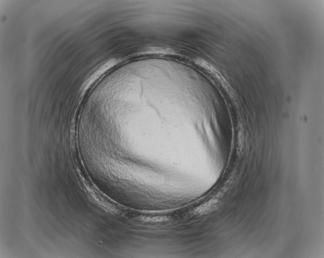 X0000085051129200703191252