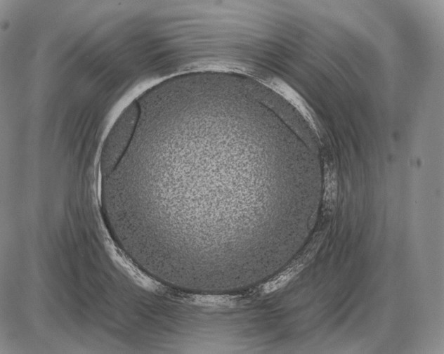 X0000085051132200703191252