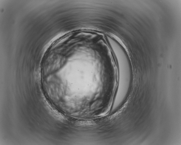 X0000085051133200703191252