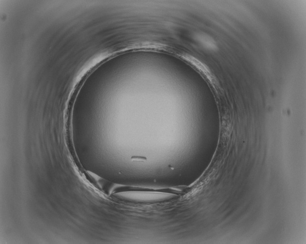 X0000085051135200703191252