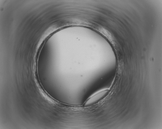X0000085051136200703191252