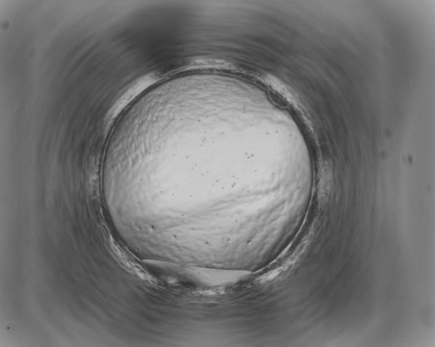 X0000085051137200703191252