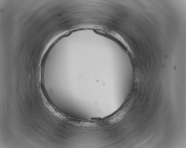 X0000085051140200703191252