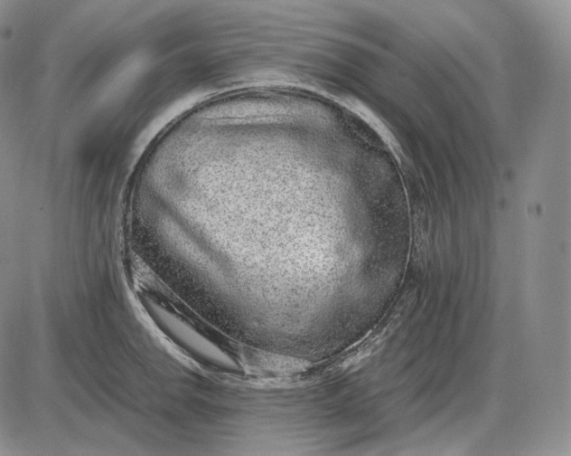 X0000085051142200703191252