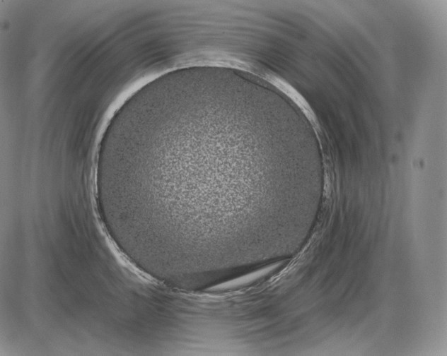 X0000085051144200703191252