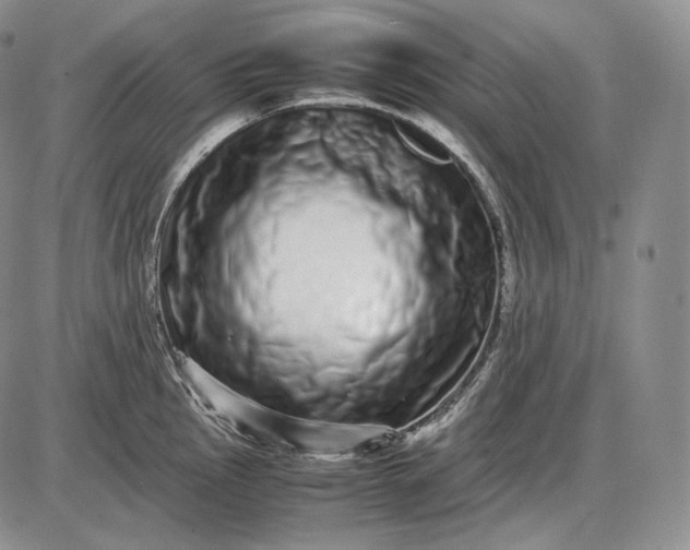 X0000085051145200703191252
