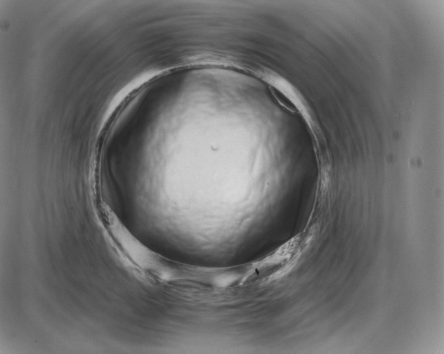 X0000085051149200703191252