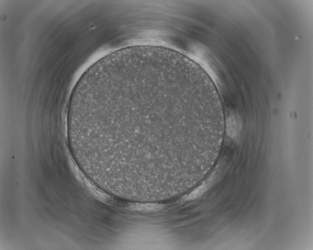 X0000085051150200703191252