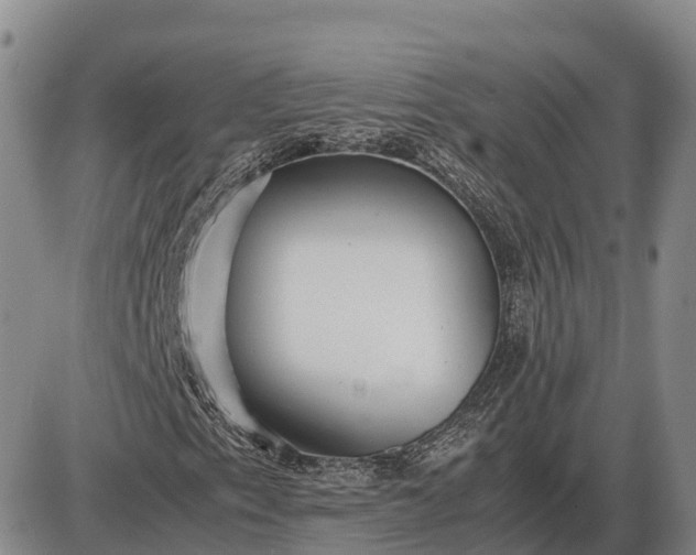 X0000085051153200703191251
