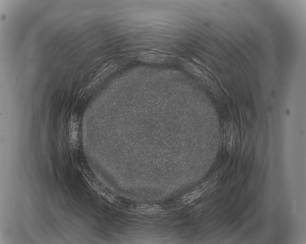X0000085051154200703191251