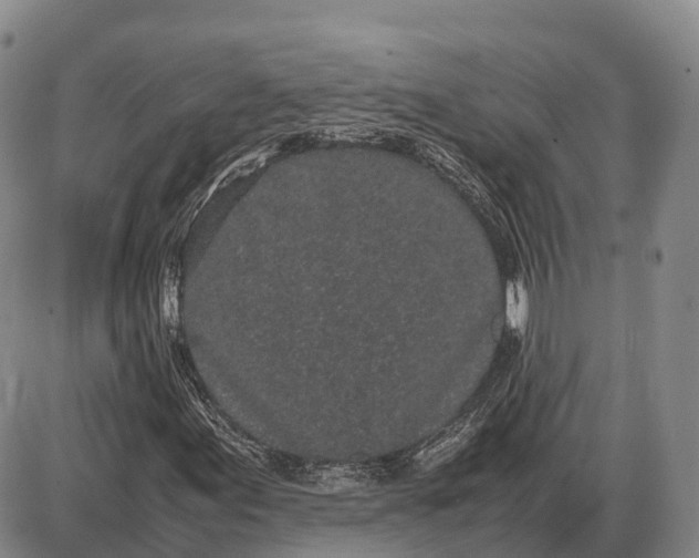 X0000085051155200703191251