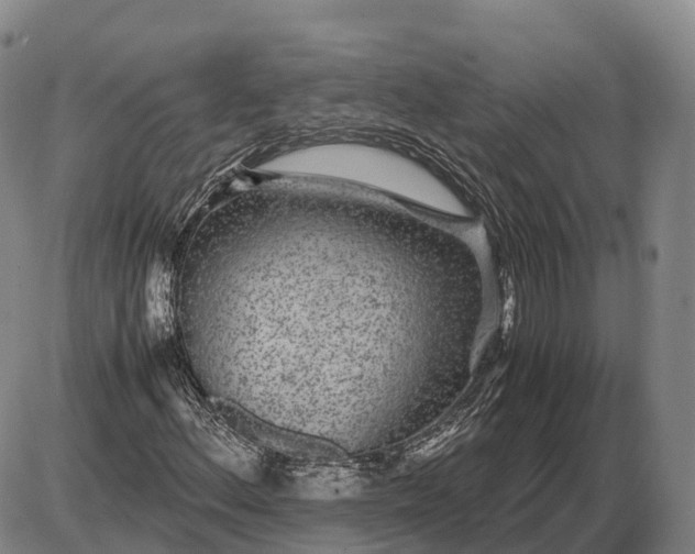 X0000085051156200703191251