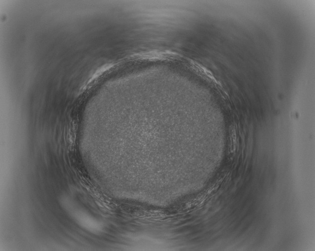 X0000085051158200703191251