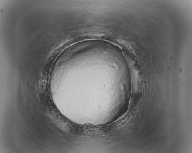 X0000085051159200703191251
