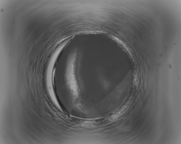 X0000085051161200703191251