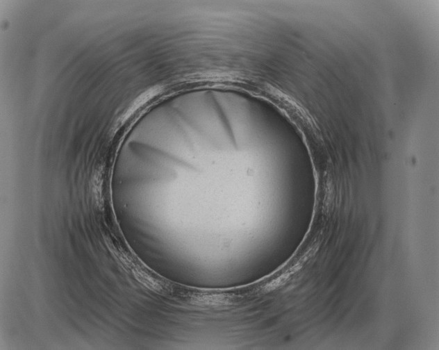 X0000085051162200703191251